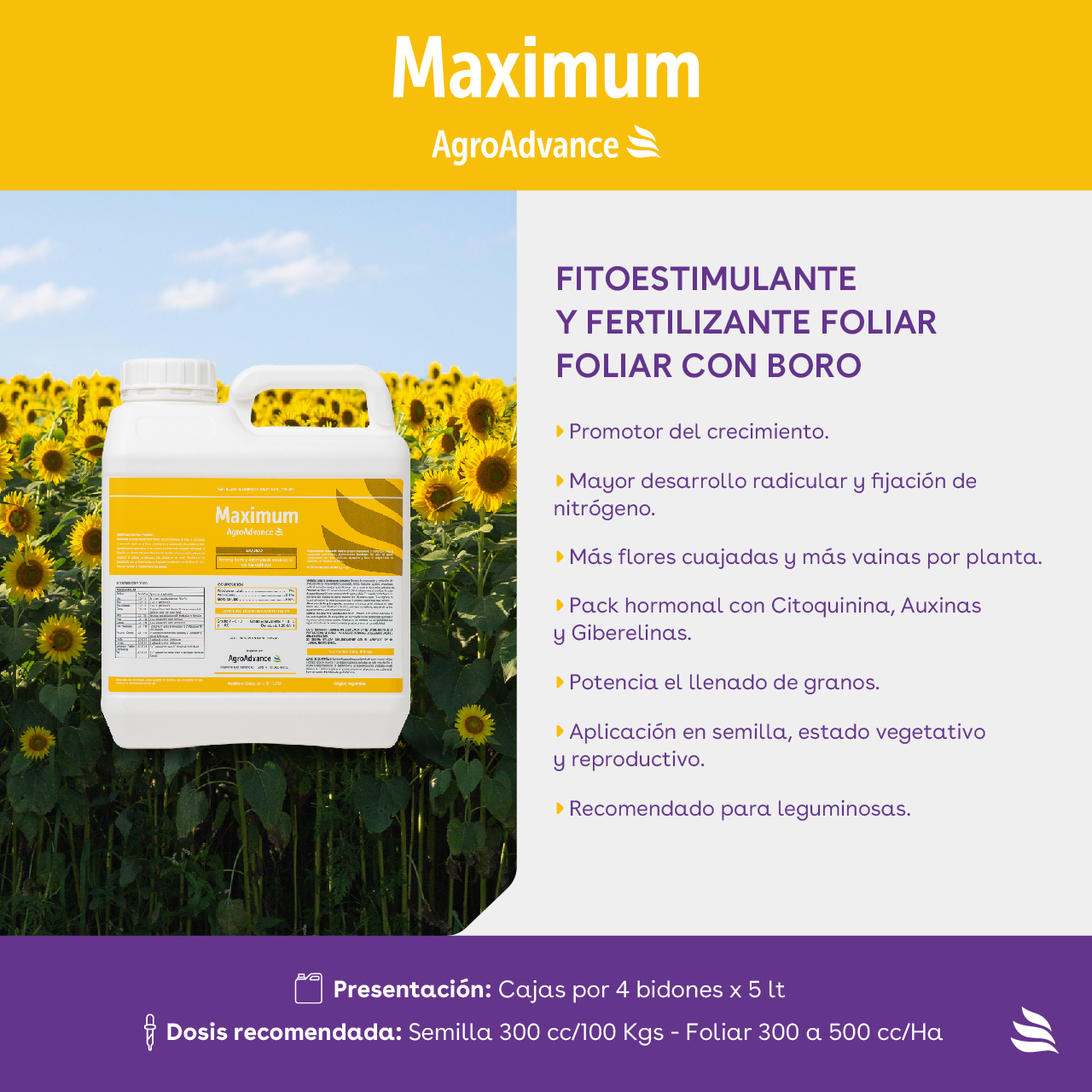 Folleto Maximum