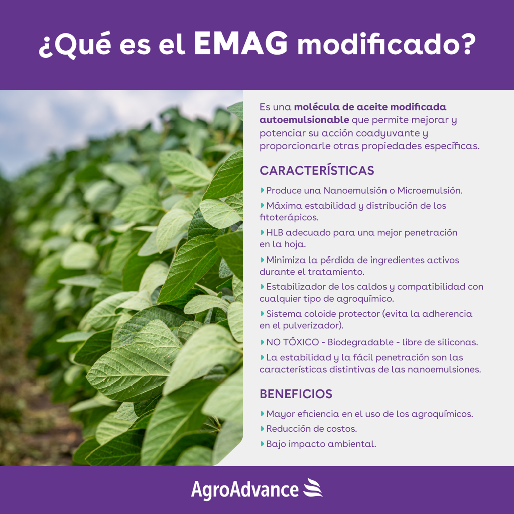 Folleto EMAG
