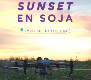 Sunset en Soja | Pozo del Molle, Córdoba